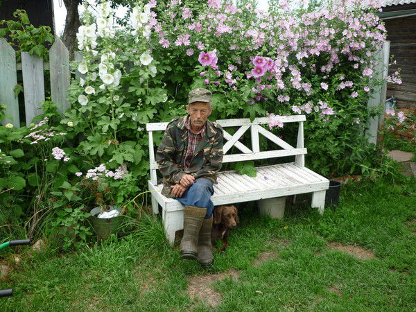 Владимир Соколов