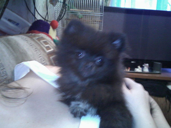 Олег Клочков