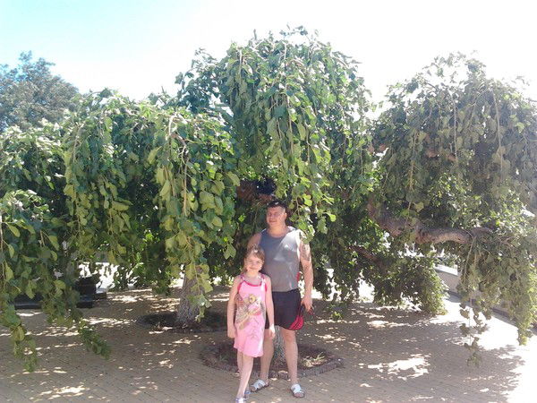 Андрей Баев