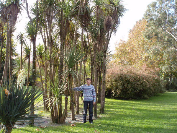 Сергей Антипин