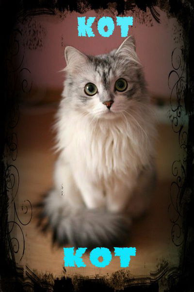 Данила Логинов