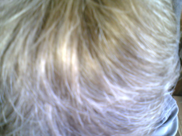 Андрей Шульмин