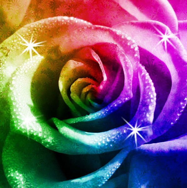 Лена Белова