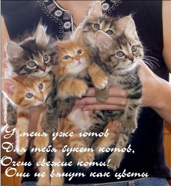 Наташа Норицына