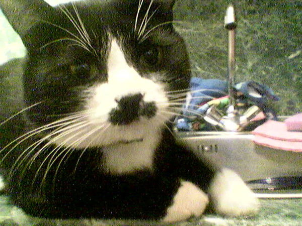 Валерий Исаков