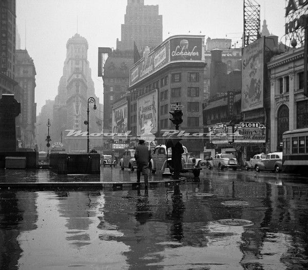 Компания Борей