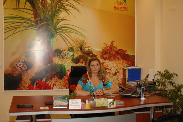 Selenrealestate Construction