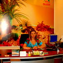 Selenrealestate Construction