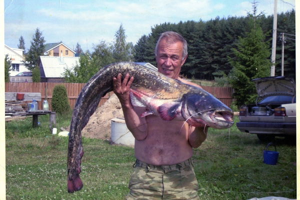 Александр Михалевский