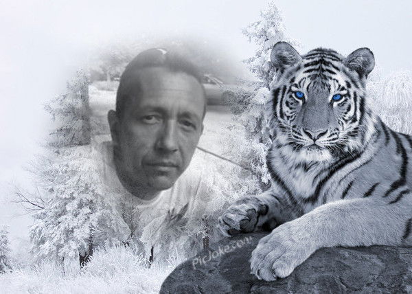 Максим Бакулин