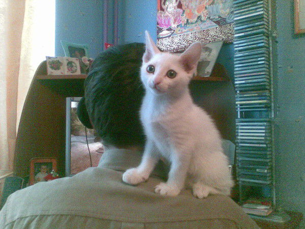 Кирилл Родин