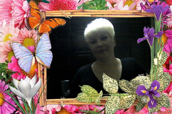 Иветта Аристова