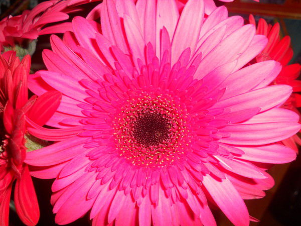 Сэлмэг Ямпилова