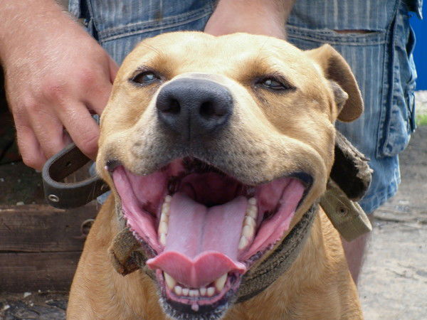 Константин Мозгунов