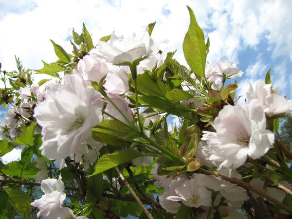 Маковеева Наталья