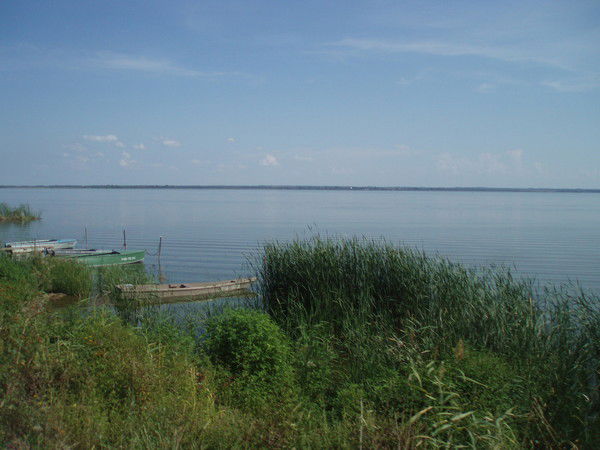 Оленька Оленька