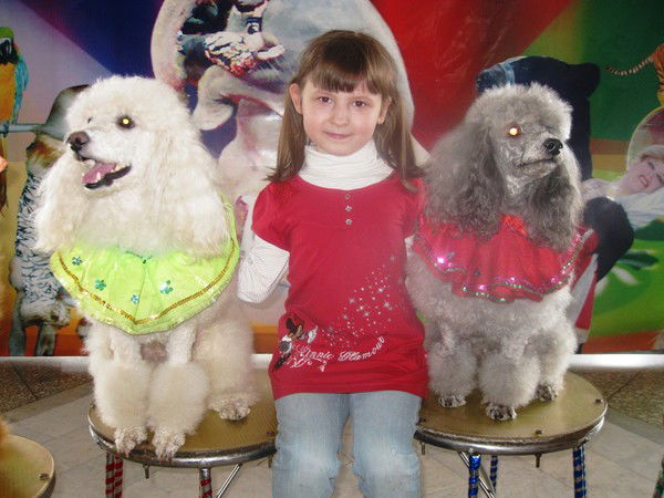 Полина Герман