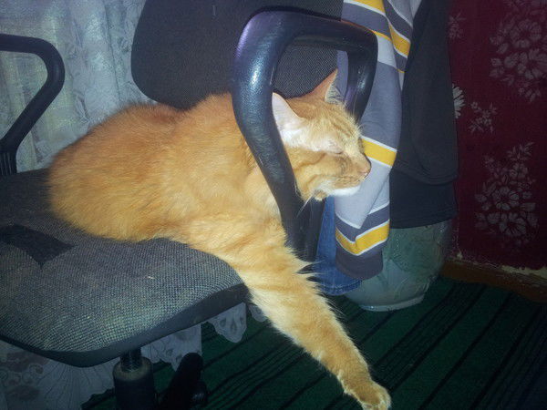 Артур Мамедов