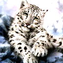 Елена Ильина