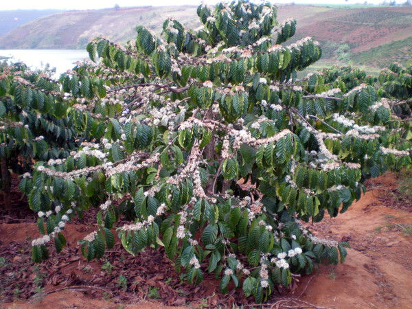 Татьяна Пасько