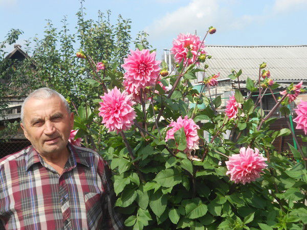 Сергей Сединкин