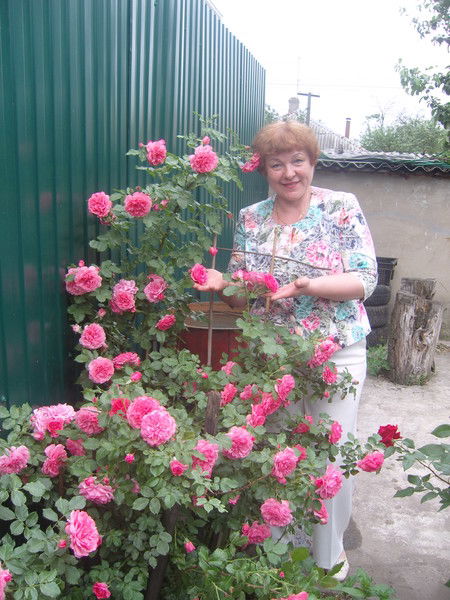 Людмила Ваксер