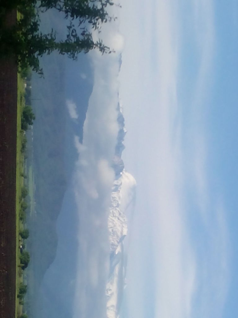 Алексей Тычкин