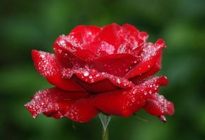 Жогаргы Егинсу