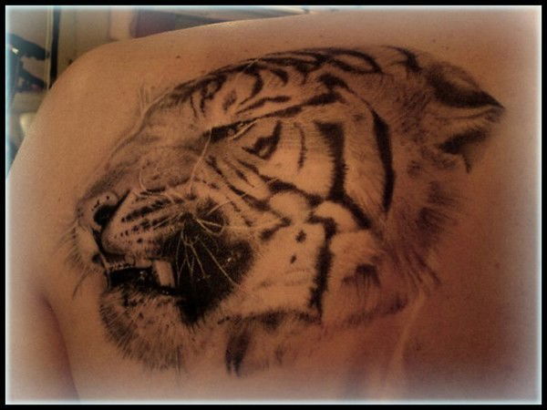 Дмитрий Карповский