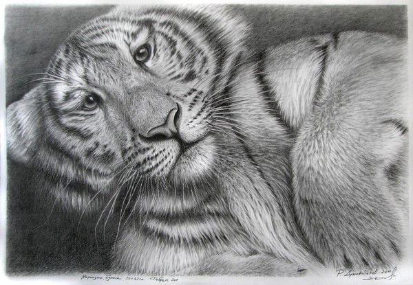 Арыстан Уахитов