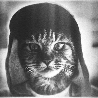 Родион Горбунов