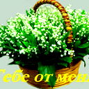 Елена Васяева