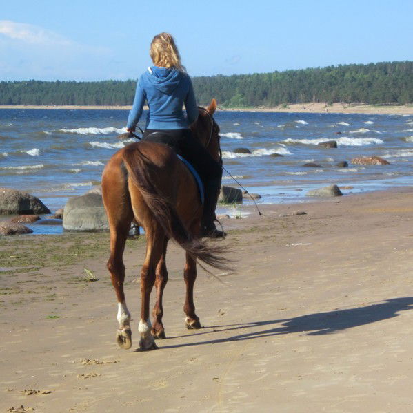 Елена Петухова