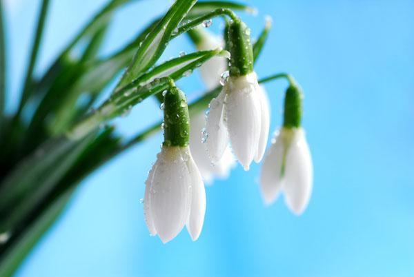 Ольга Максименко