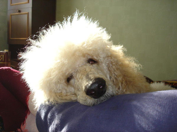 Мария Малинина