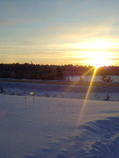 Ринат Саитов