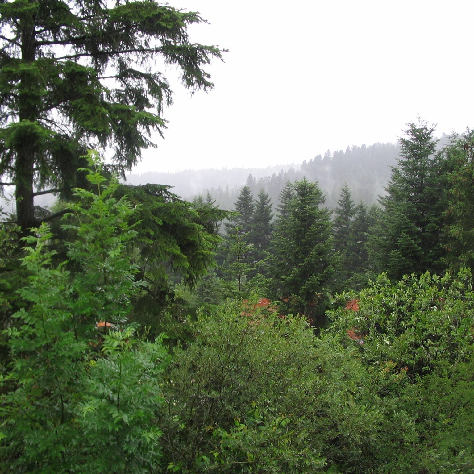 Виктор Поплавский