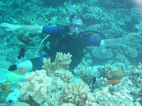 Александр Комаров