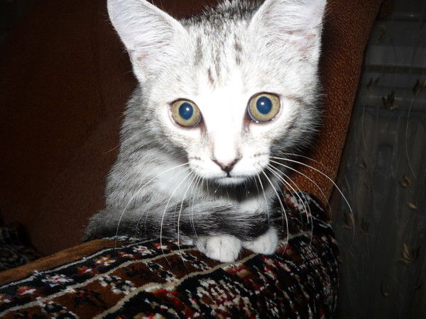 $$$Сергей$$$ !