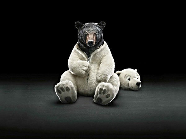 Александр Бурмакин