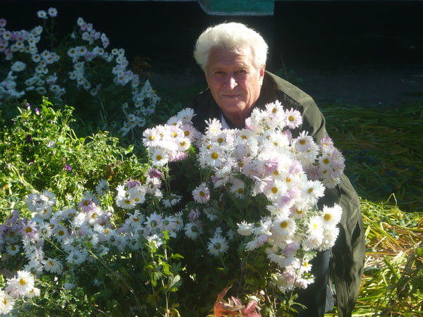 Владимир Володин