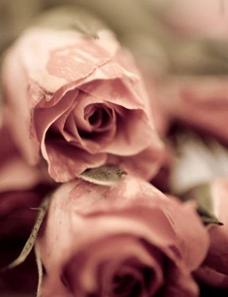 Ясмина Кабдолла