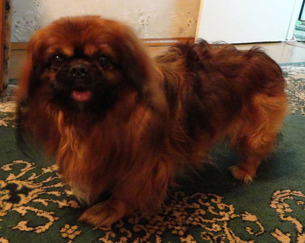 Ольга Крылова