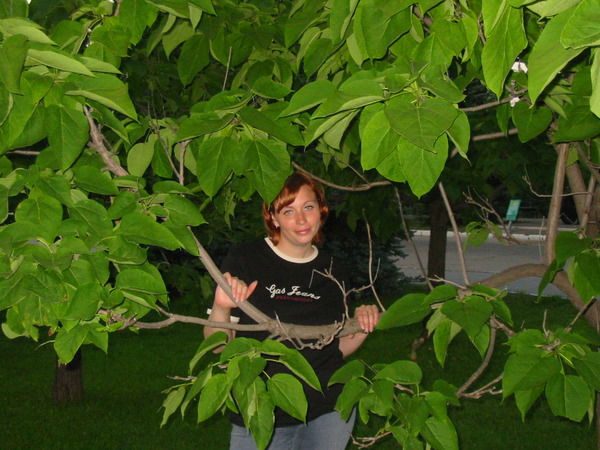 Ольга Питаева