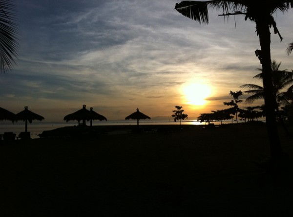 Светлана Шманцарь