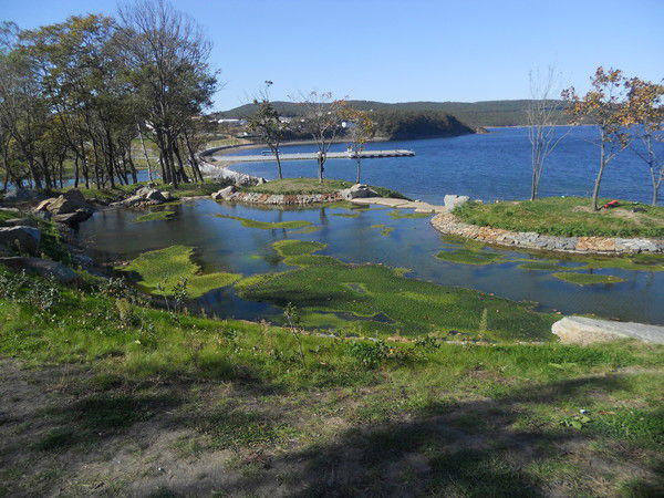 Виталий Земков