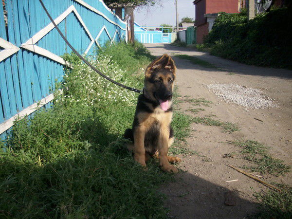 Галима Макишева