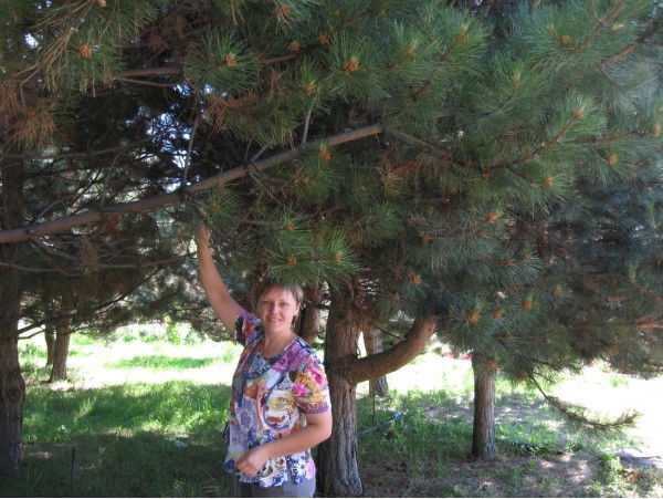 Гальман Лариса