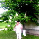 Elena Raicu