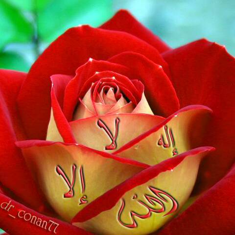 Айсель Сарсенбаева